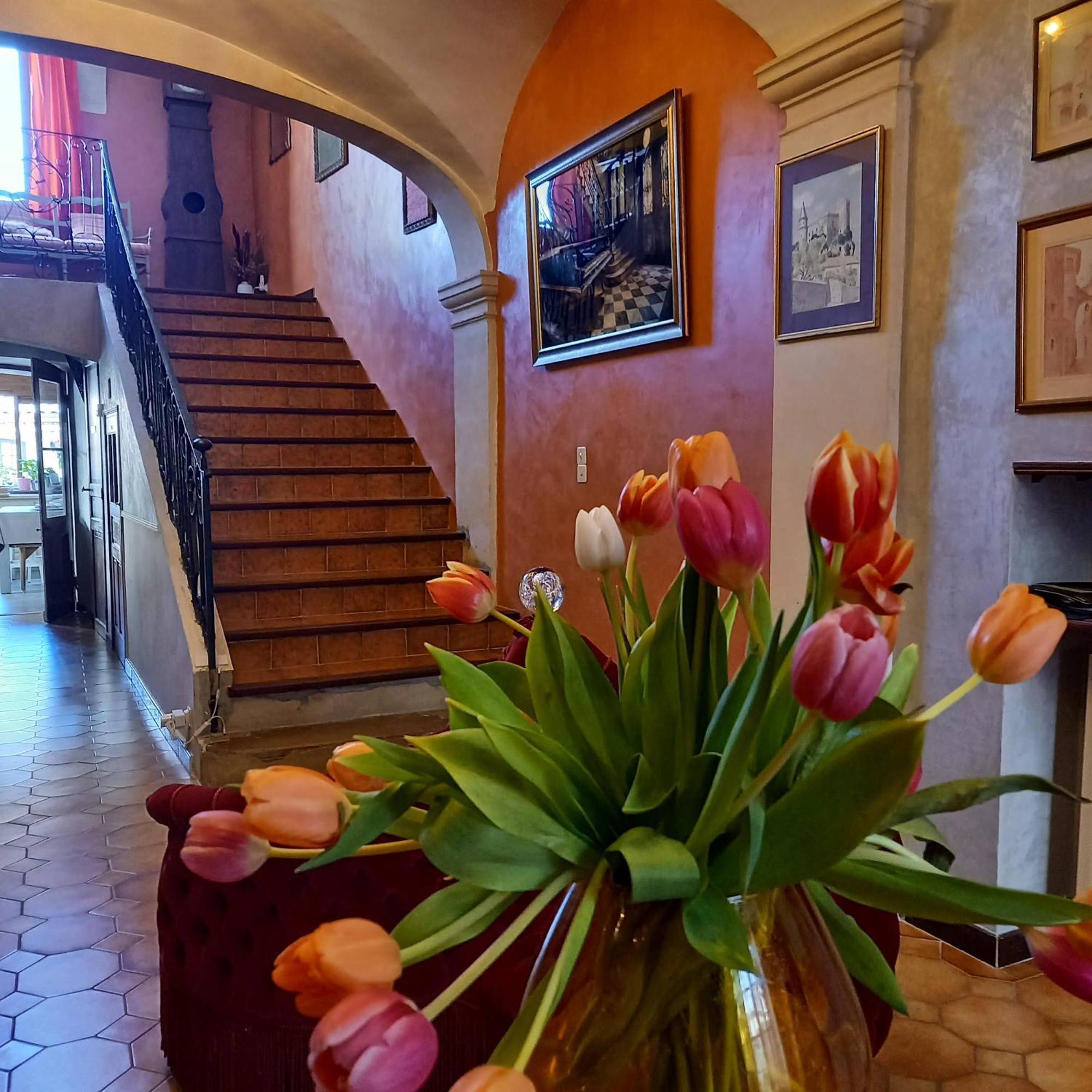 Maison D'Hotes Payan Champier Saint-Paul-Trois-Chateaux Εξωτερικό φωτογραφία